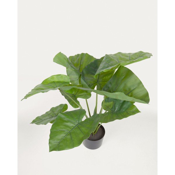 Umělá rostlina (výška 57 cm) Odora – Kave Home-image-3