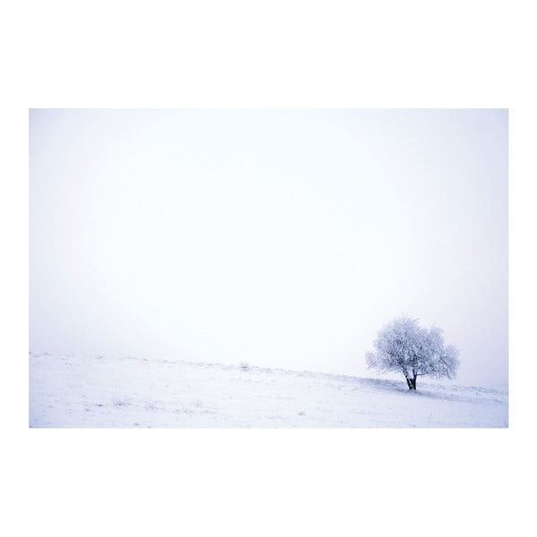 Fotoobraz Zasněžený strom, 90x60 cm