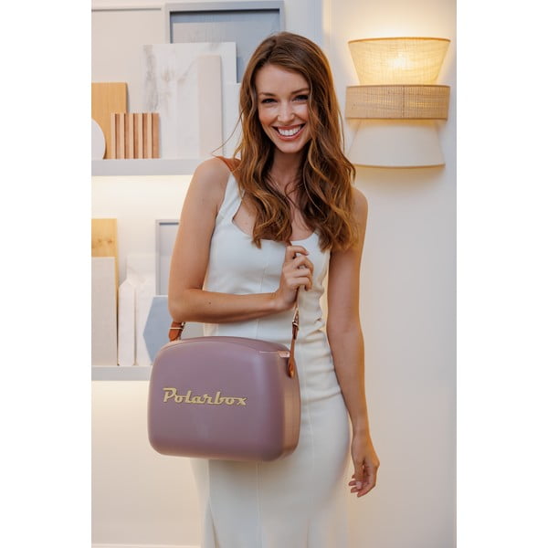 Hnědý chladicí box 6 l Classic Gold – Polarbox-image-1