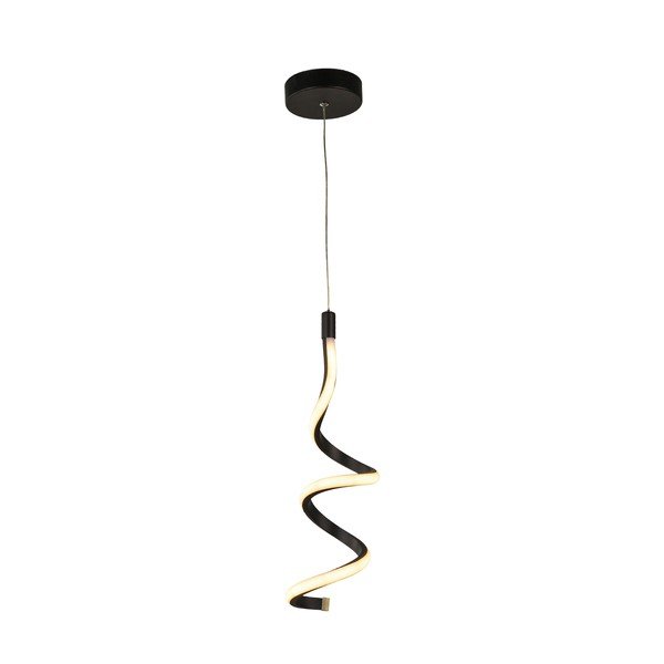 Černé kovové LED závěsné svítidlo ø 12 cm Hilton – Squid Lighting