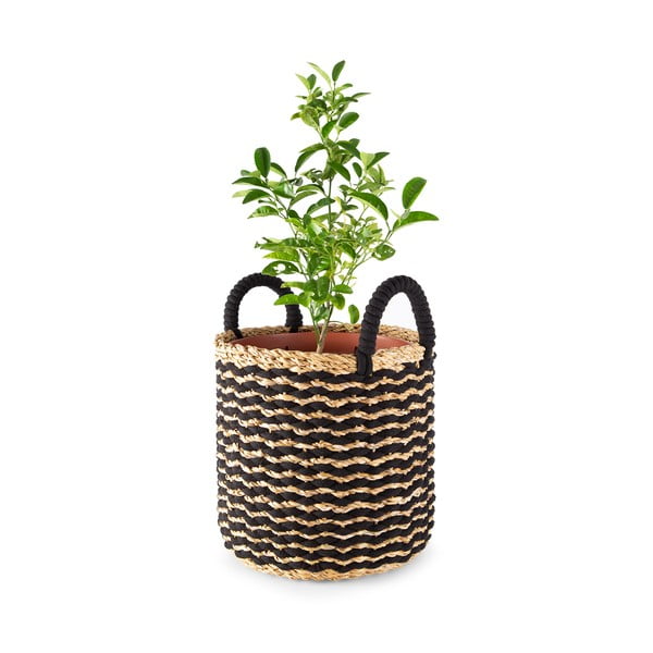 Úložný košík z mořské trávy Compactor, ø 30 cm