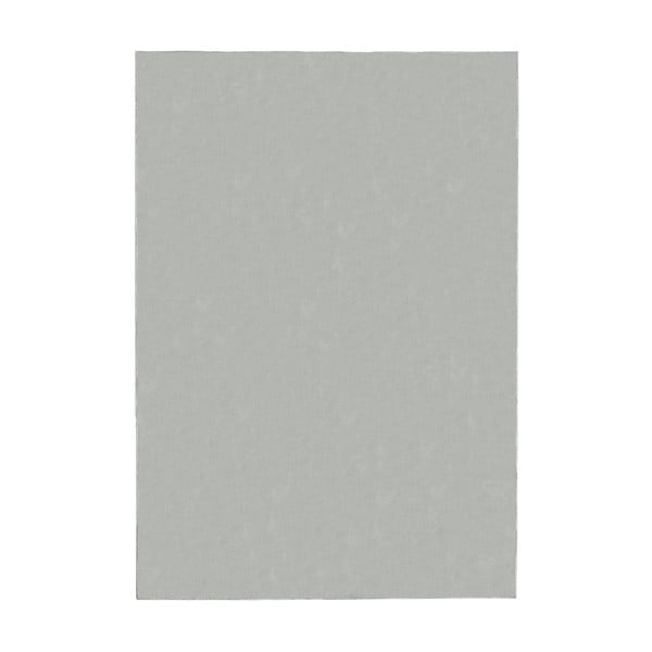 Světle šedý koberec 80x150 cm – Flair Rugs