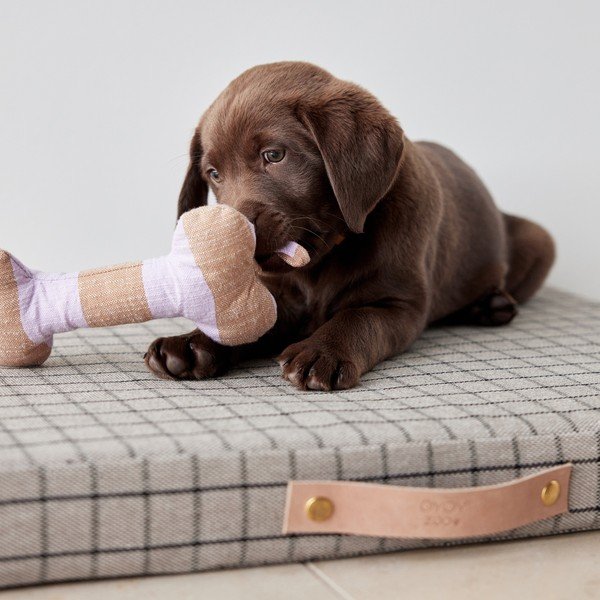 Hračka pro psa Ashi – OYOY Living Design-image-1