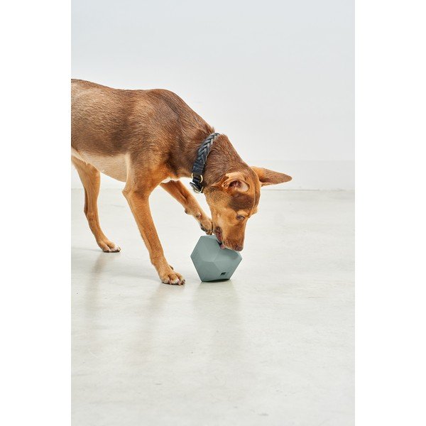 Hračka pro psa Dado Eucalyptus – MiaCara-image-1