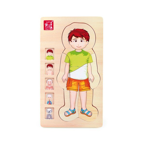 Dřevěná hračka Legler Anatomy Boy-image-1