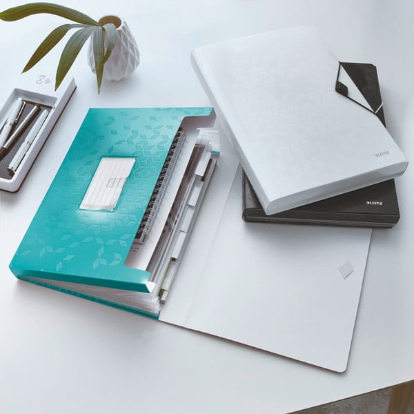 Plastový organizér na dokumenty WOW – Leitz-image-1