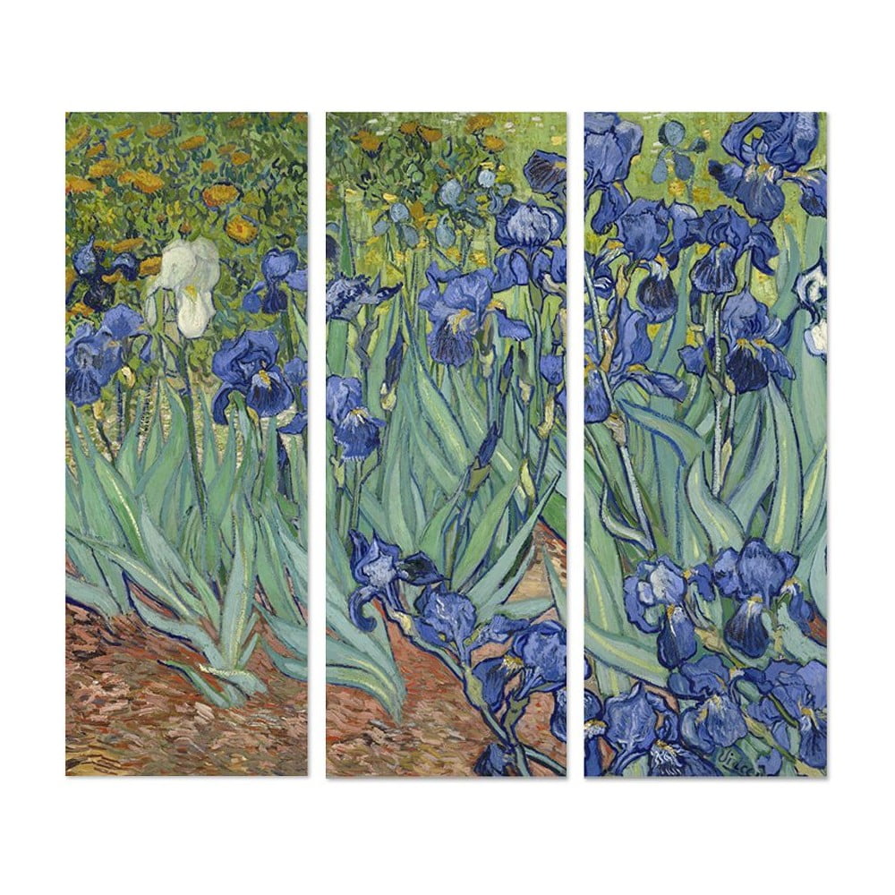 Obrazy v sadě 3 ks 20x50 cm Vincent van Gogh – Wallity