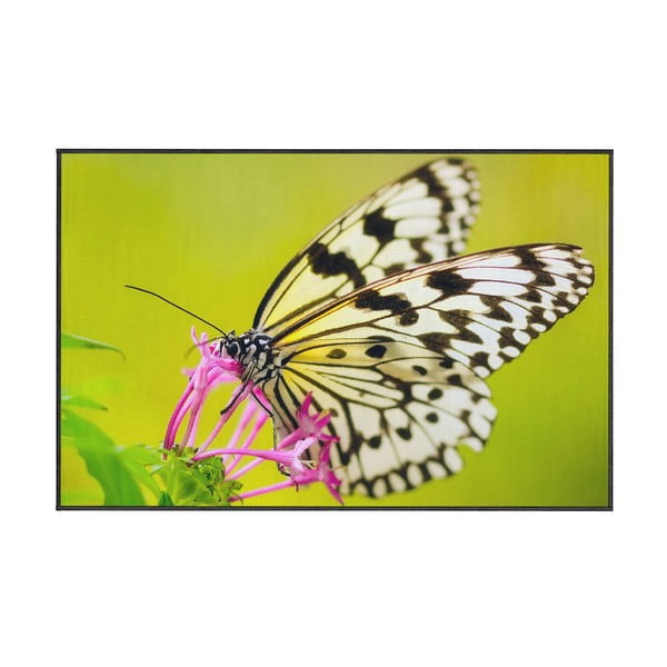 Zelený koberec Oyo home Butterfly, 140 x 220 cm