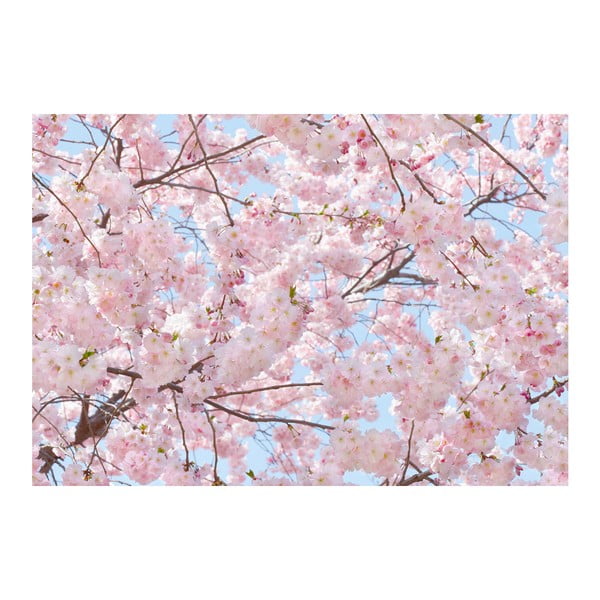 Velkoformátová tapeta Růžové květy, 366x254 cm