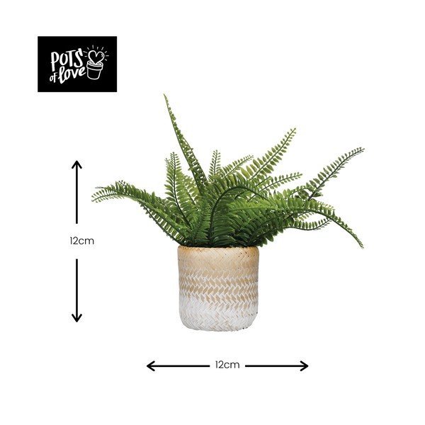 Květináč z mořské trávy Kitchen Craft Ombré-image-2