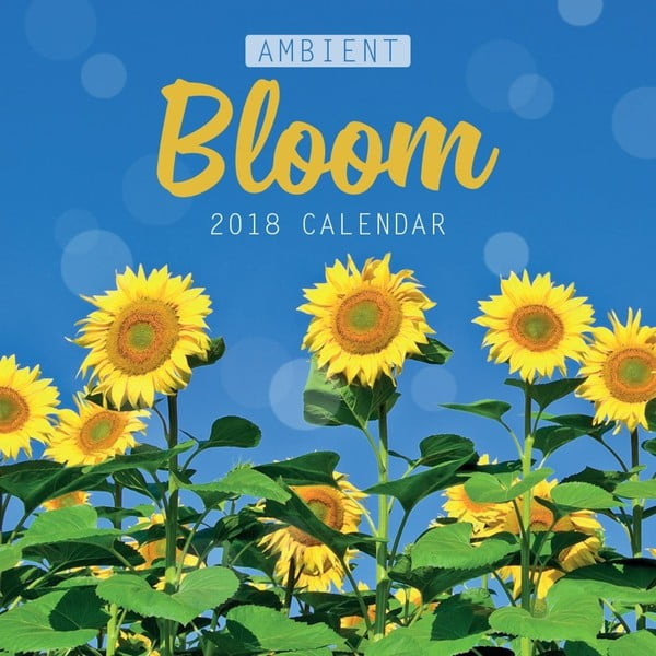 Nástěnný kalendář pro rok 2018 Portico Designs Ambient Blooms