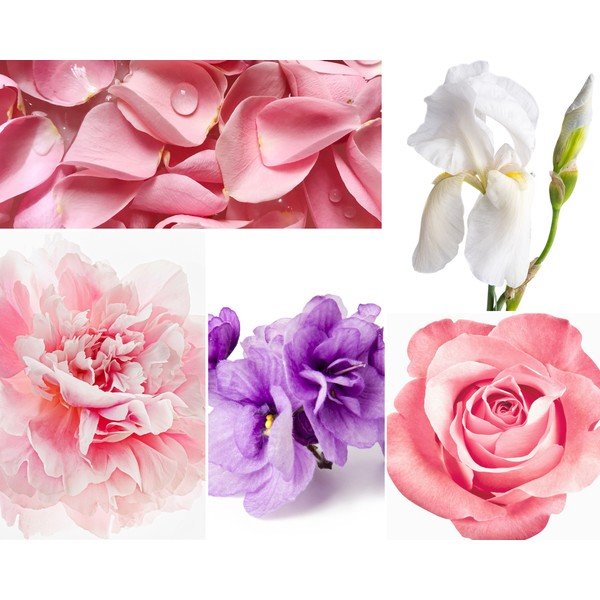Tyčinkový difuzér Privé Home Rose Pivoine, 120 ml-image-1