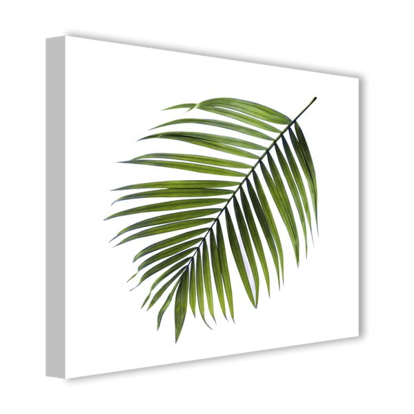 Obraz Styler Canvas Greenery Black Palm, 32 x 32 cm-image-2
