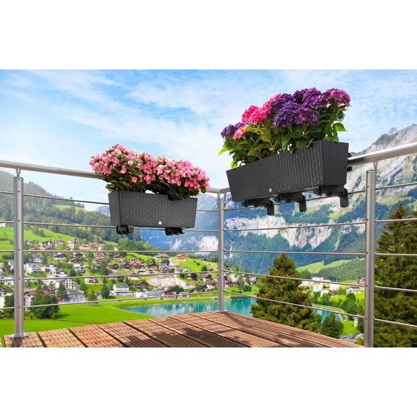 Truhlík 50 cm Supreme – Flower Lover-image-1