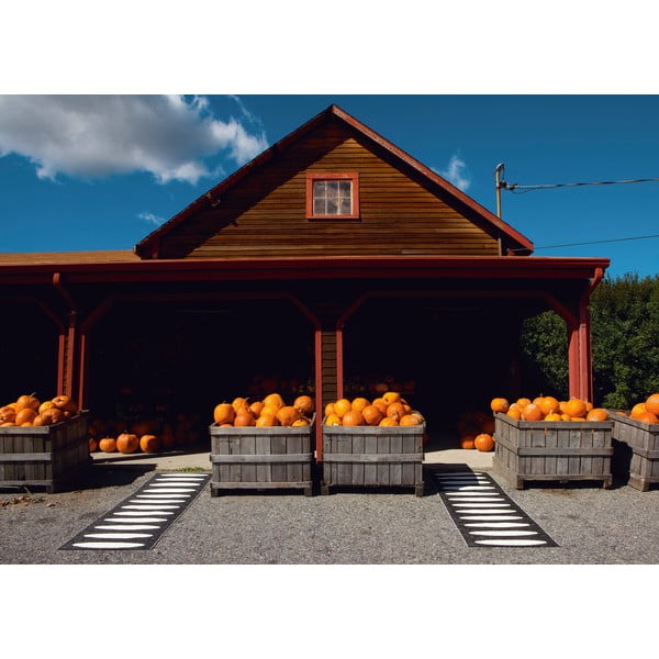 Černý vnitřní a venkovní běhoun 70x150 cm Ella Black – Pappelina-image-3