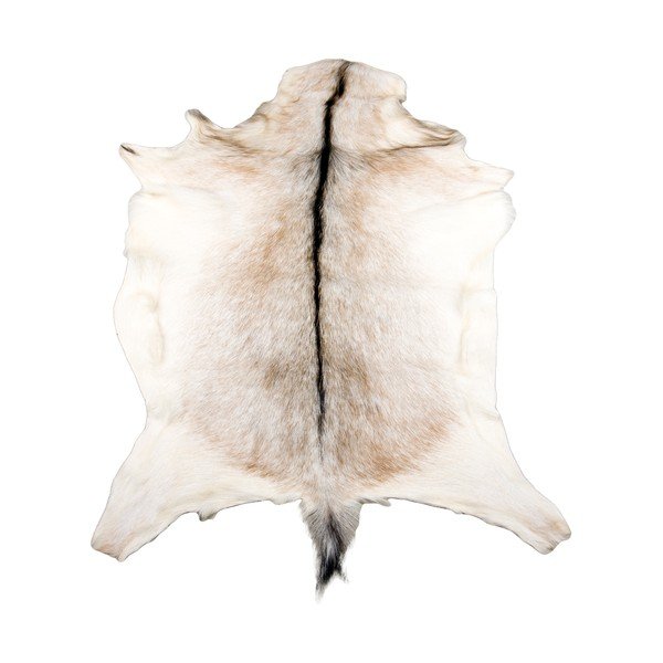 Kozí kůže, 65x85 cm