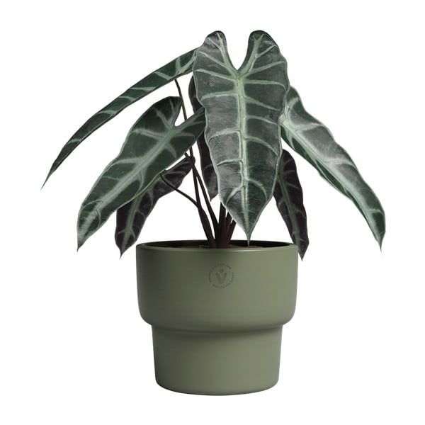 Keramický ručně vyrobený květináč ø 17 cm Echo – Artevasi-image-2