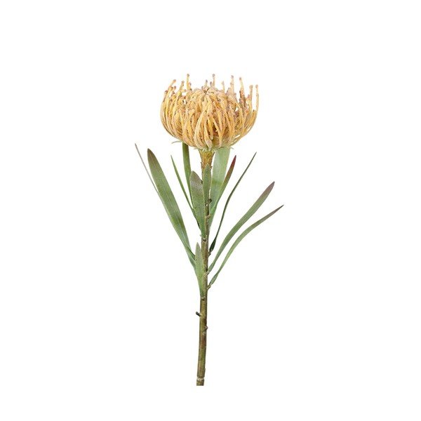 Umělá květina (výška 43 cm) Protea – Ego Dekor