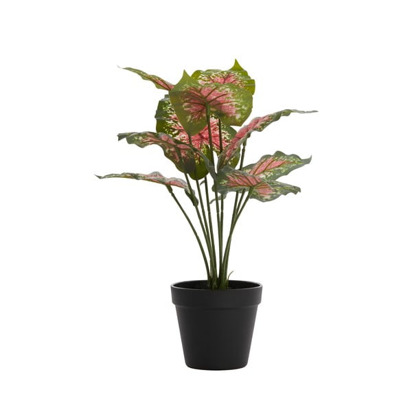 Umělá rostlina (výška 40 cm) Caladium – Light & Living-image-1