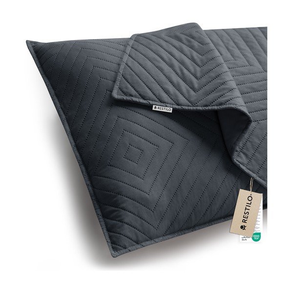 Povlaky na polštáře v sadě 2 ks z mikrovlákna 45x45 cm Softa – Restilo-image-4