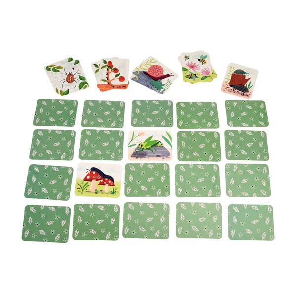 Společenská hra Wonders of Nature – Rex London-image-2