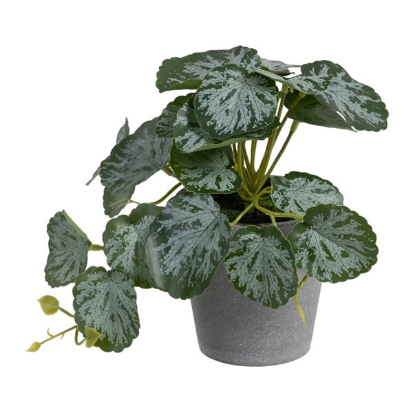 Umělá rostlina (výška 21,5 cm) Saxifraga – Ixia