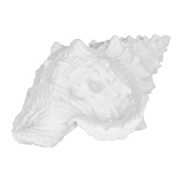 Soška z polyresinu (výška 12 cm) Seashell – Ixia-image-3