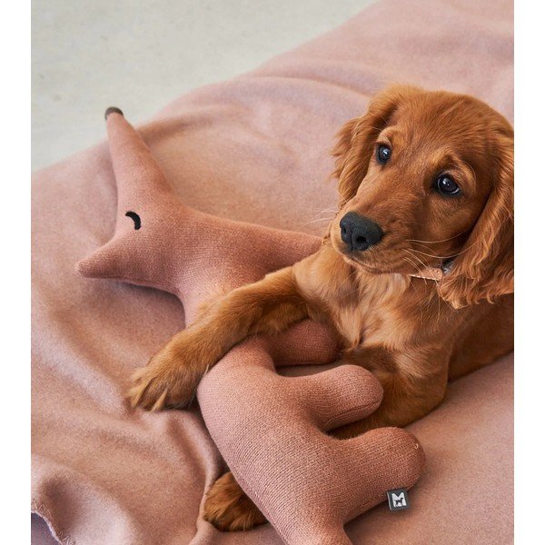 Hračka pro psa Bosco Rabbit – MiaCara-image-3