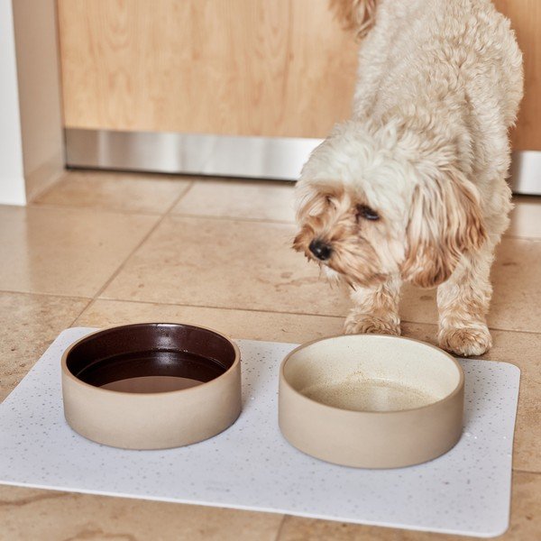 Keramická miska pro psa ø 13 cm Sia – OYOY Living Design-image-2