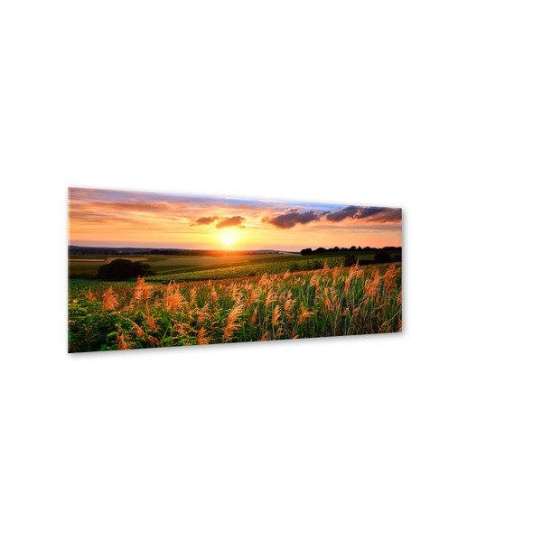Obraz Styler Glas Sunset Meadow, 50 x 125 cm-image-1
