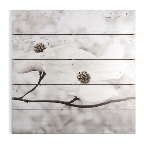 Dřevěný obraz Graham & Brown Serenity Blossoms, 60 x 60 cm