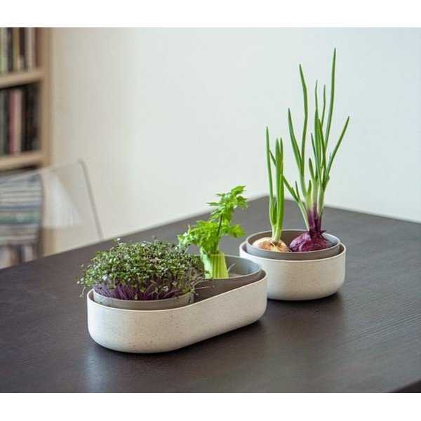 Plastová klíčicí miska Microgreens + Regrow – Plastia-image-1