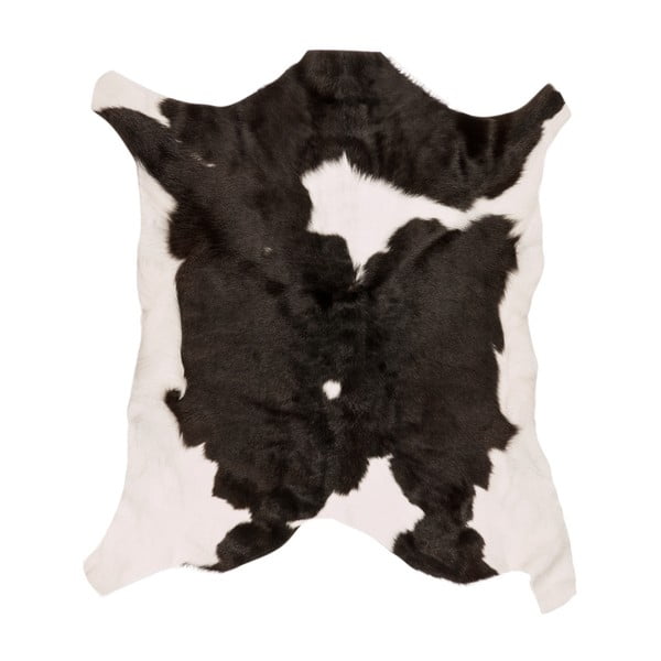 Černobílá telecí kožešina Black Spotted, 80 x 70 cm