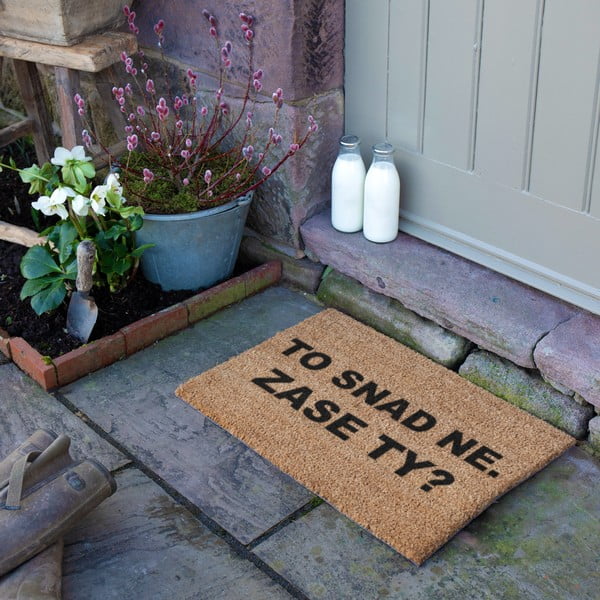 Rohožka z kokosového vlákna 40x60 cm Zase Ty? – Artsy Doormats-image-3
