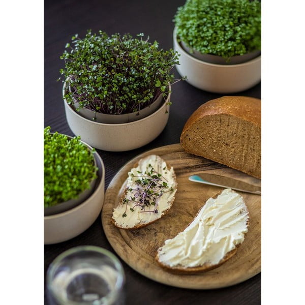 Plastová klíčicí miska Microgreens + Regrow – Plastia-image-3