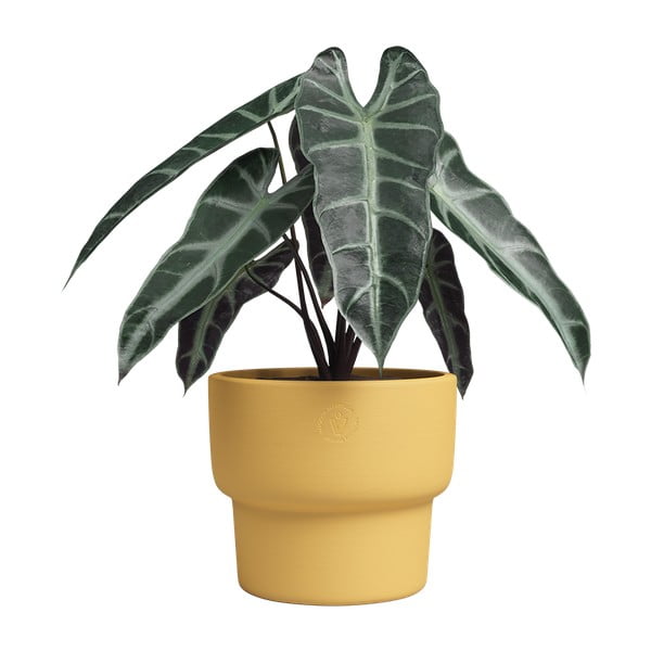 Keramický ručně vyrobený květináč ø 20 cm Echo – Artevasi-image-3