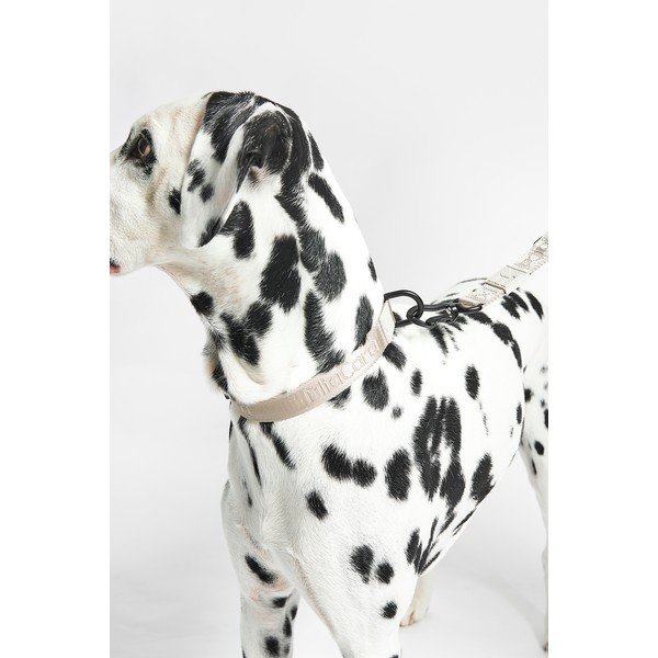 Béžový obojek velikost L/XL délka 40 cm Modena Greige L/XL – MiaCara-image-1