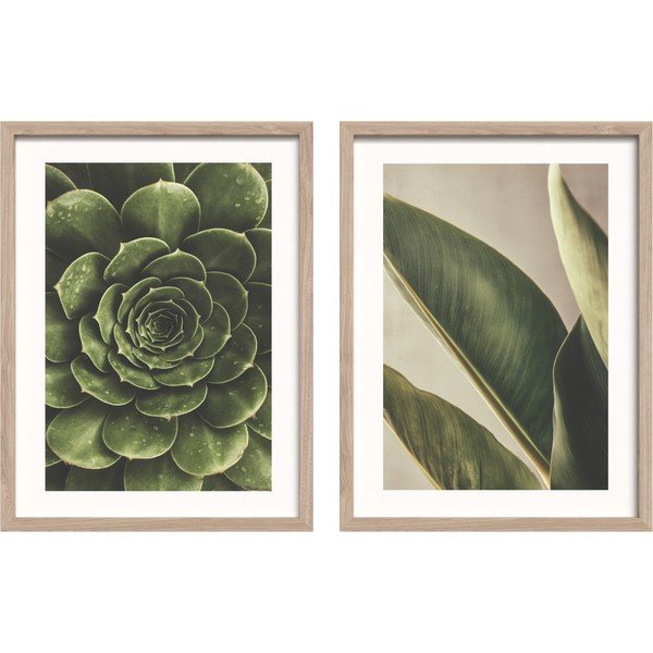 Tištěné obrazy v sadě 2 ks s rámem 30x40 cm Beauty Green – Styler