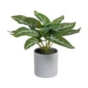 Umělá rostlina (výška 21 cm) Syngonium – Ixia