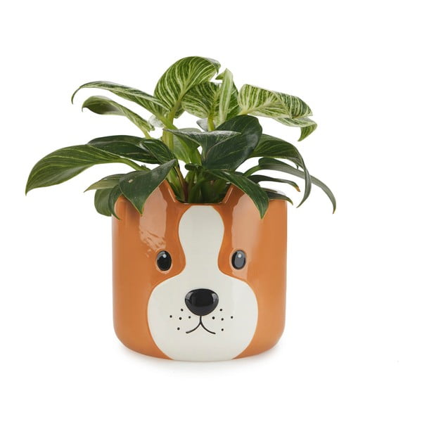 Keramický květináč ø 13,5 cm Woof – Balvi-image-1