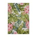 Venkovní koberec 160x235 cm Flair – Hanse Home