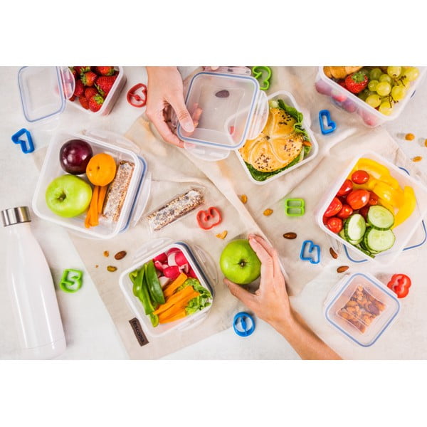 Krabičky na jídlo 5 ks Freshbox – Tescoma-image-1