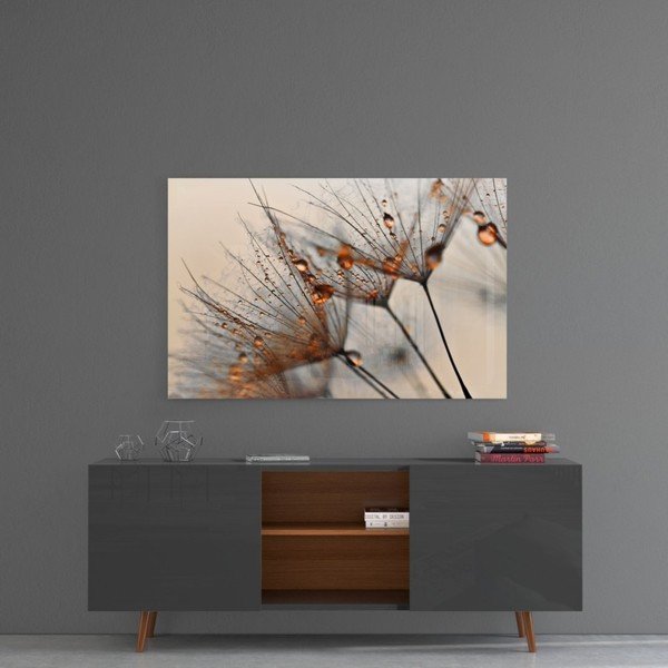Skleněný obraz Insigne Cinnamon Dandelion, 72 x 46 cm-image-1