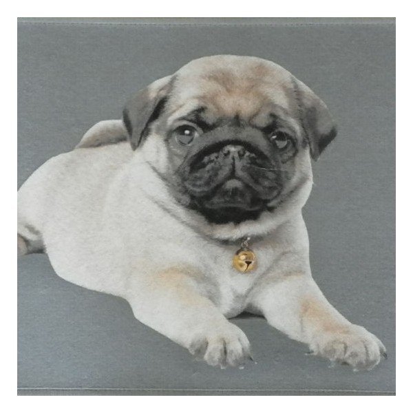 Předložka Mars&More Pug Pup, 75 x 50  cm-image-1