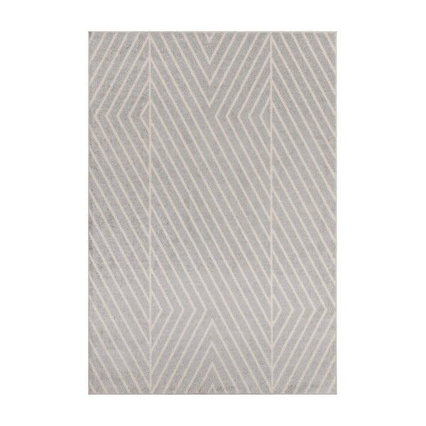 Světle šedý koberec 120x170 cm Muse – Asiatic Carpets