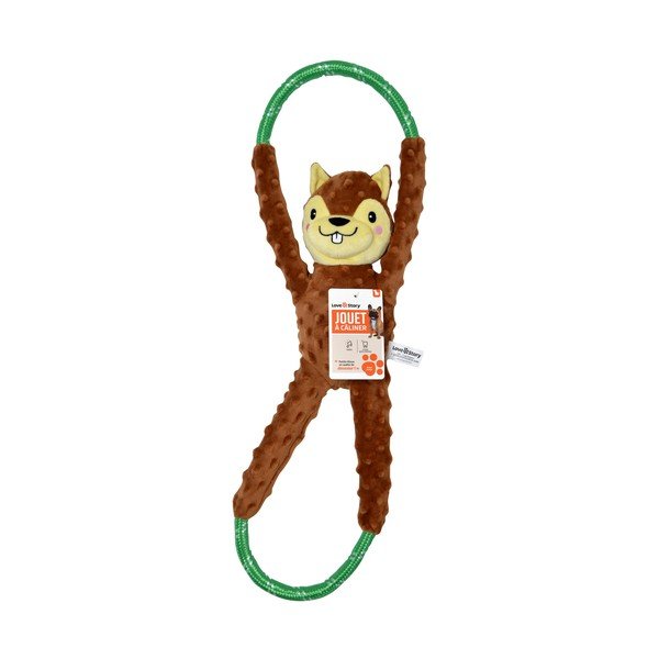 Hračka pro psa Squirrel – Love Story-image-1