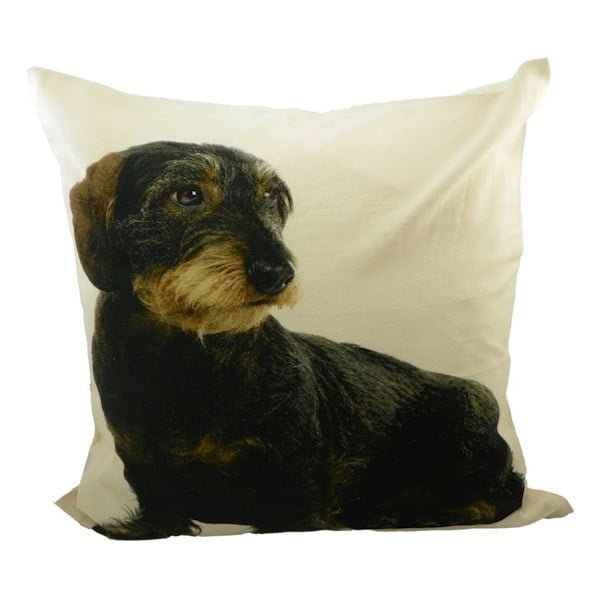 Polštář Mars&More Dog, 50 x 50  cm