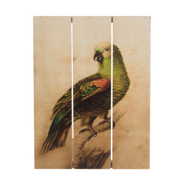 Dřevěný obraz Dijk Natural Collections Parrot, 19x25 cm