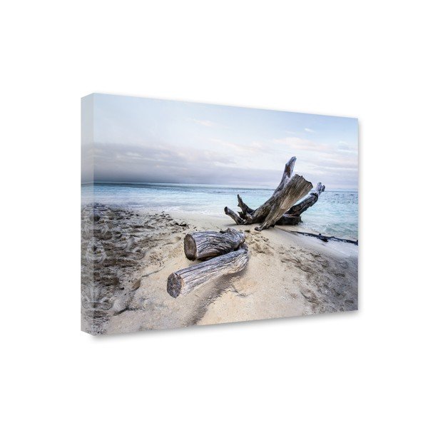 Obraz Styler Canvas Sand Branch, 85 x 113 cm
