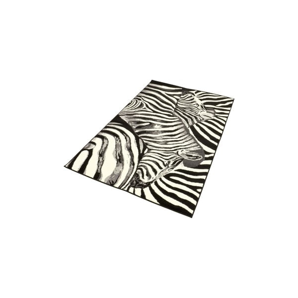 Koberec City & Mix - zebra, 140x200 cm